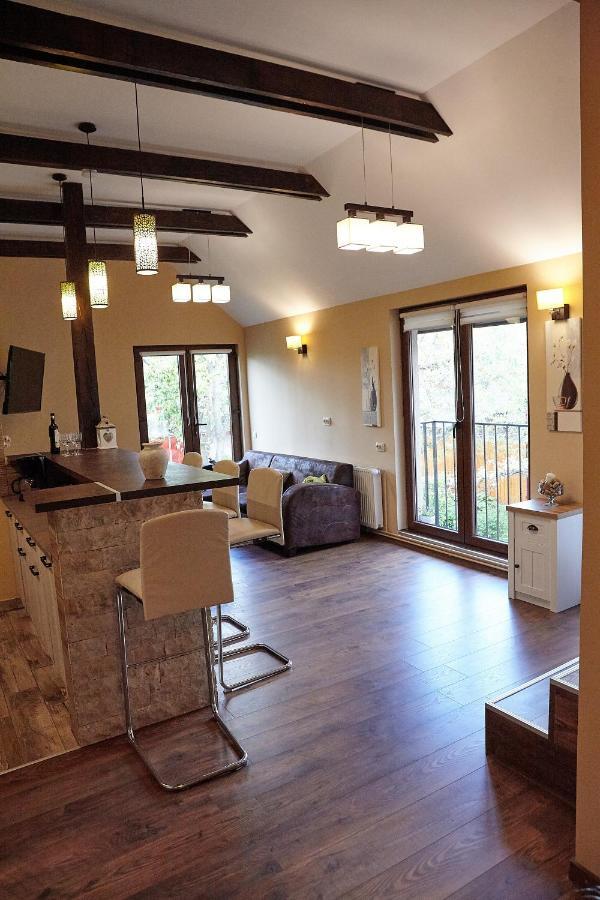 Apartament Rozelor Braşov Buitenkant foto
